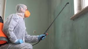 Mold Remediation for Rental Properties in Old Tappan, NJ